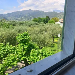 La Madonnina Querceta