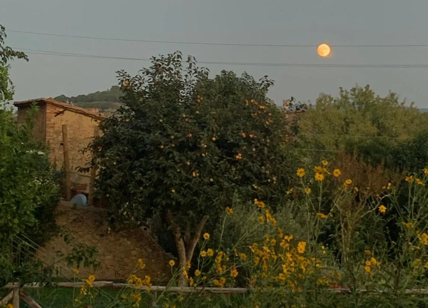 Casa Cerboneschi Bed & Breakfast Casale Marittimo