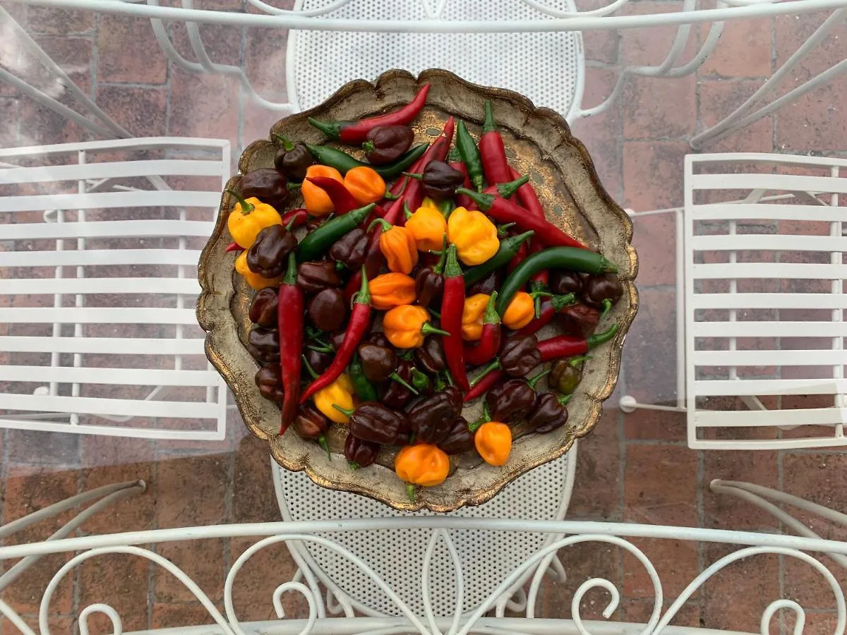 Casa Cerboneschi Bed & Breakfast Casale Marittimo